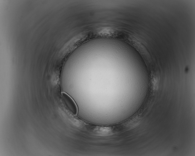 X0000116880665200912291243