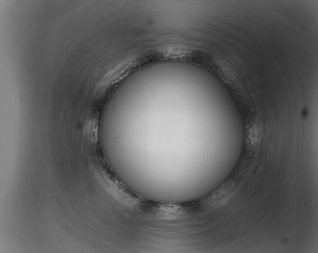 X0000116880666200912291243