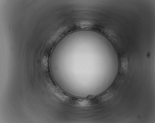 X0000116880667200912291243