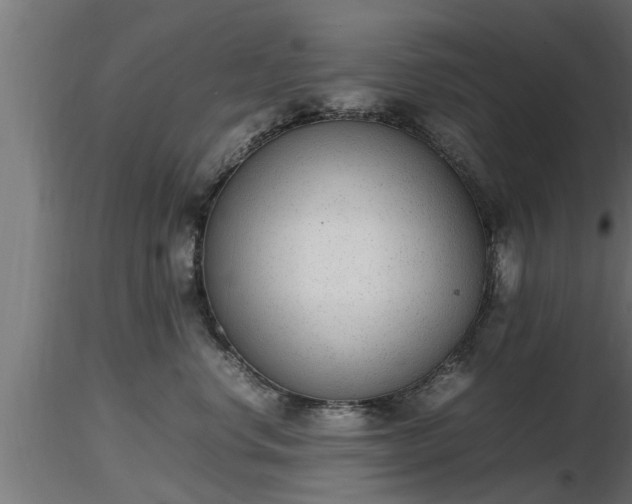 X0000116880668200912291243