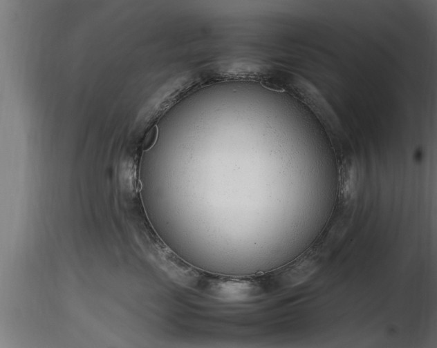 X0000116880669200912291243