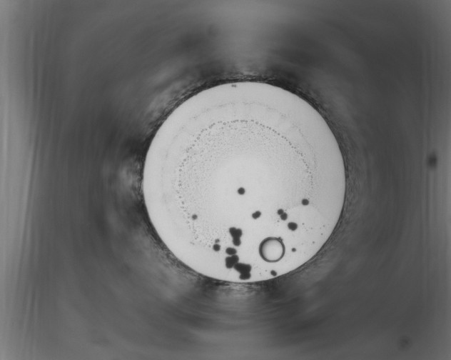 X0000116880672200912291243