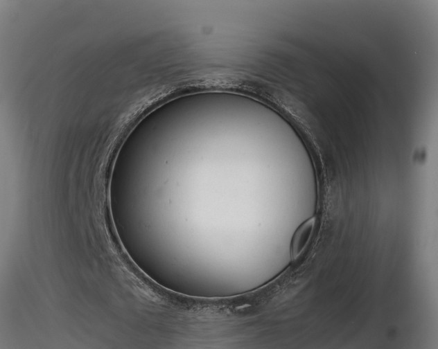 X0000116880673200912291243