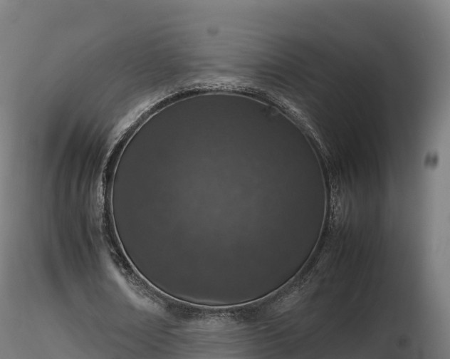 X0000116880674200912291243