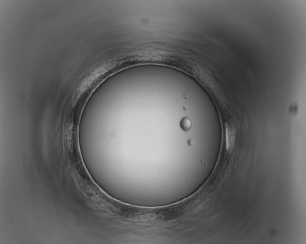 X0000116880675200912291243