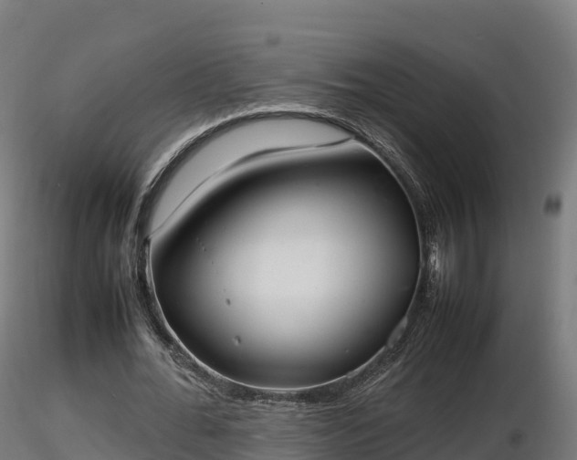 X0000116880676200912291243