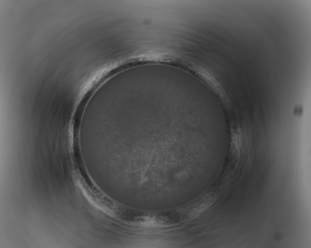 X0000116880678200912291243