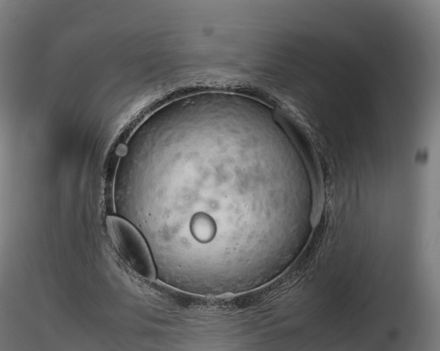 X0000116880679200912291243