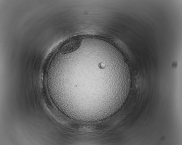 X0000116880680200912291243