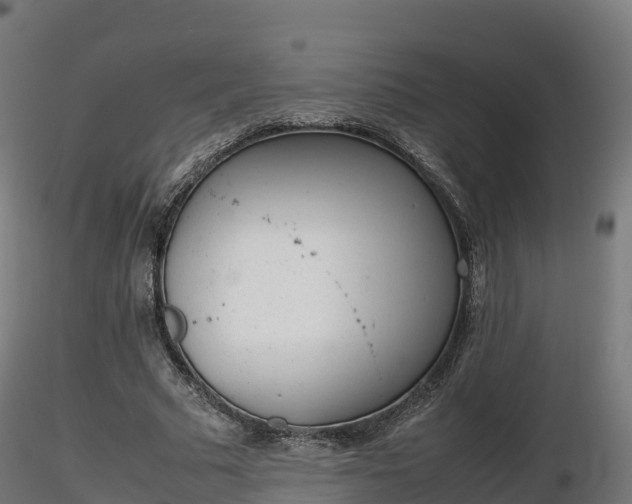 X0000116880681200912291243
