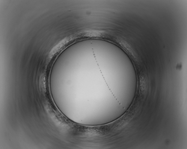 X0000116880682200912291243