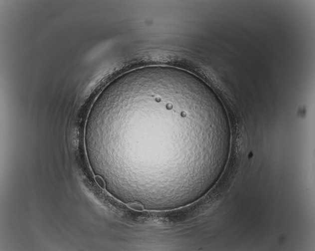X0000116880683200912291243