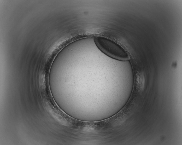 X0000116880684200912291242