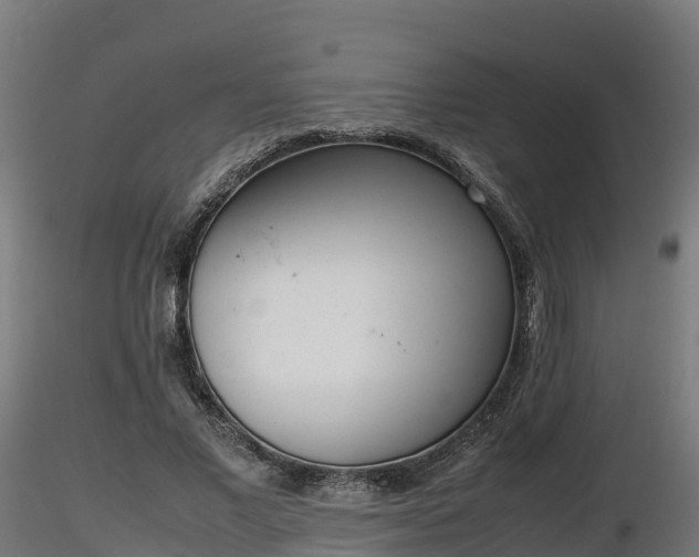 X0000116880685200912291242