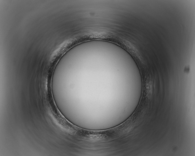 X0000116880686200912291242