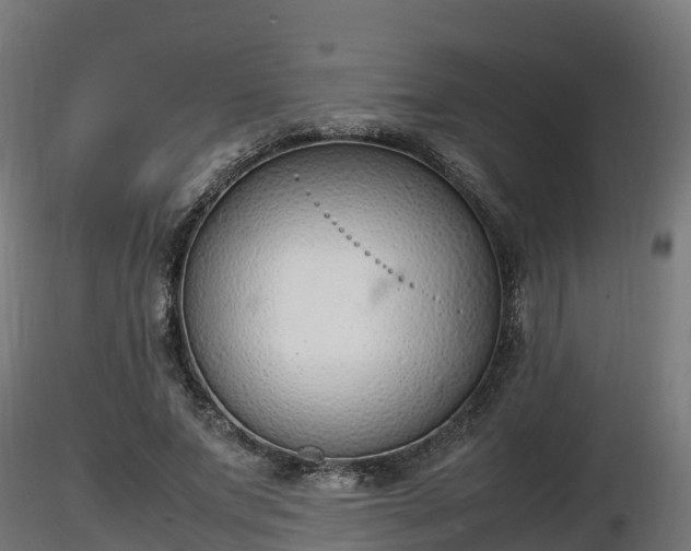 X0000116880687200912291242