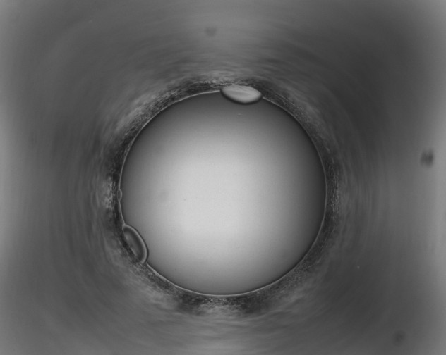 X0000116880689200912291242