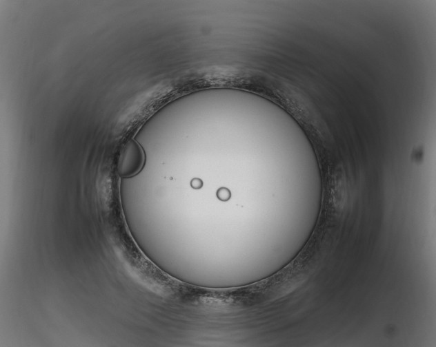 X0000116880690200912291242