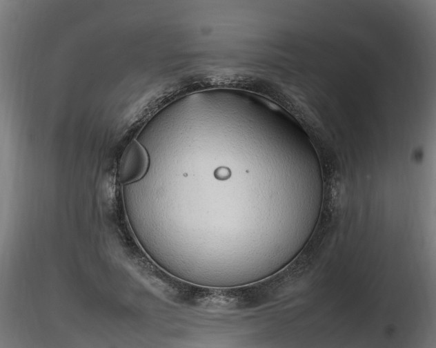 X0000116880691200912291242