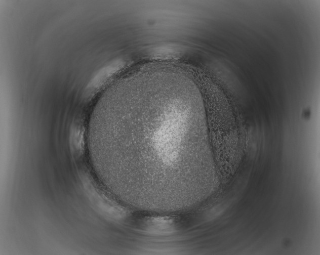 X0000116880692200912291242