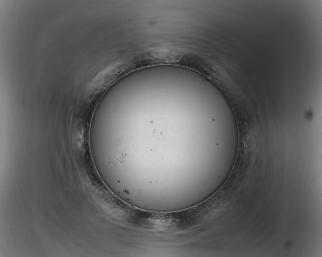 X0000116880693200912291242