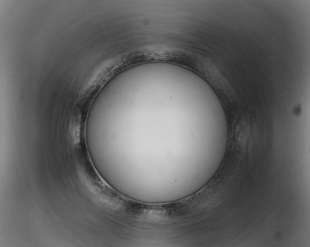 X0000116880694200912291242