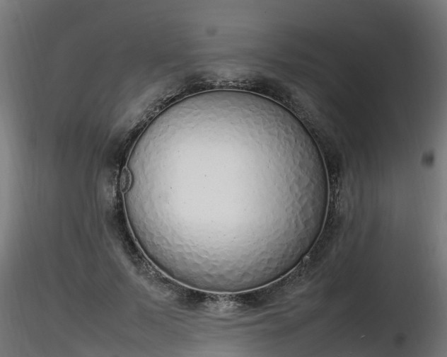 X0000116880695200912291242