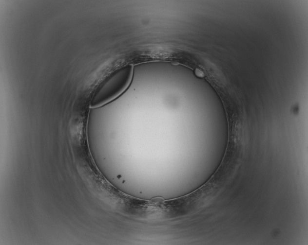 X0000116880697200912291242