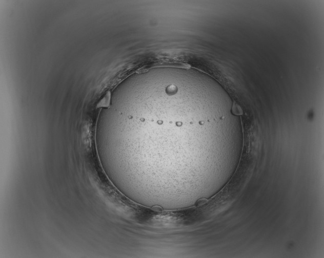X0000116880699200912291242