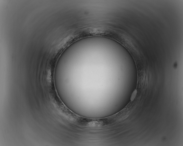 X0000116880700200912291242