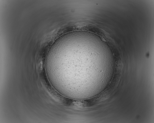 X0000116880703200912291242