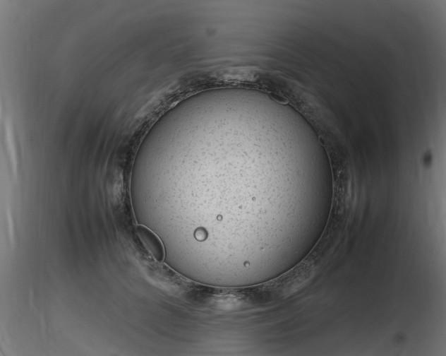 X0000116880704200912291242