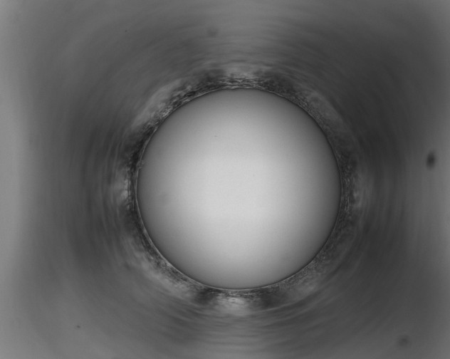 X0000116880706200912291242