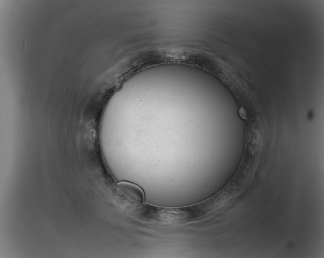 X0000116880707200912291242