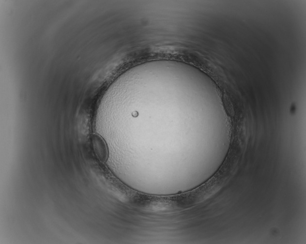 X0000116880708200912291242