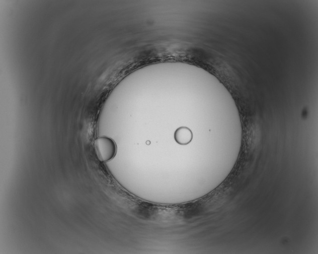 X0000116880709200912291242