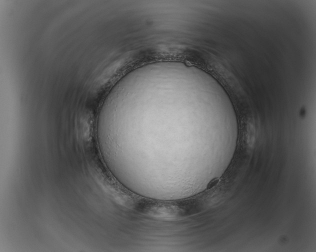 X0000116880712200912291242