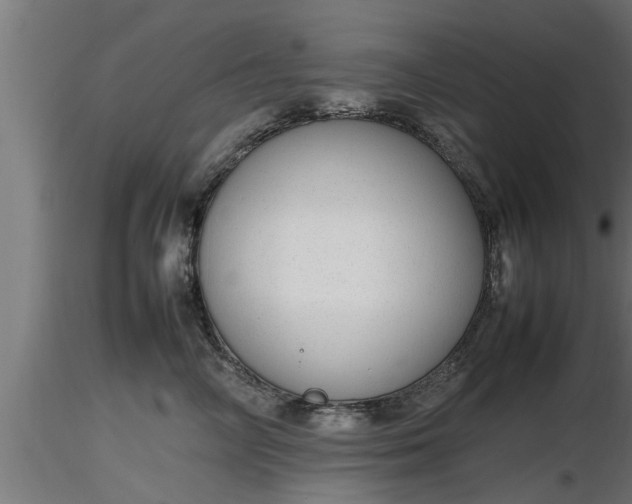 X0000116880714200912291242