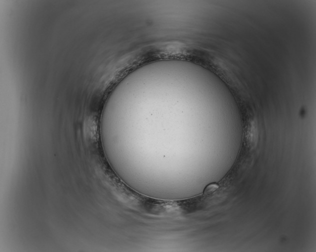 X0000116880715200912291242