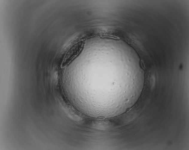 X0000116880716200912291242