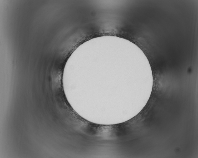X0000116880717200912291242