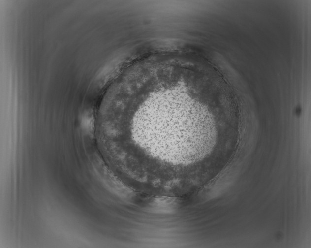 X0000116880720200912291242
