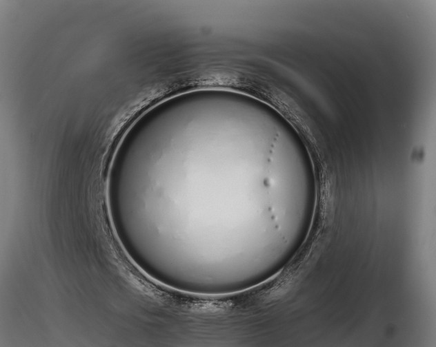 X0000116880721200912291241