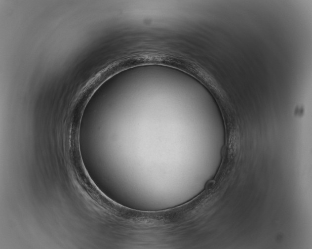 X0000116880722200912291241