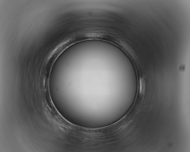 X0000116880723200912291241