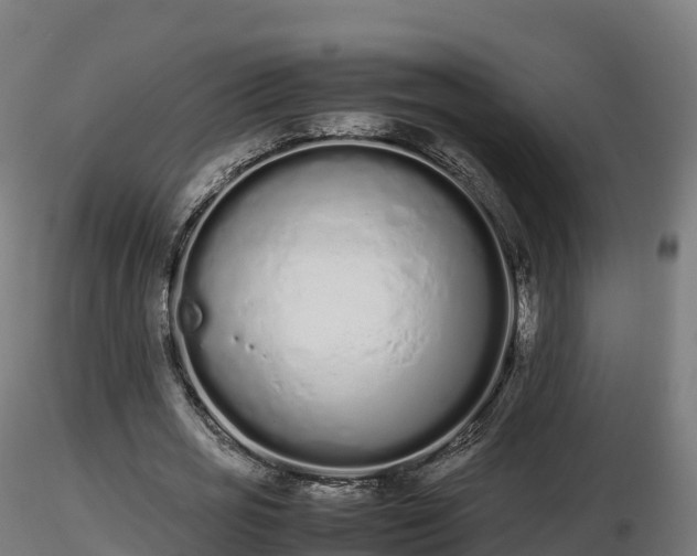 X0000116880725200912291241