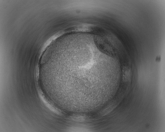 X0000116880726200912291241