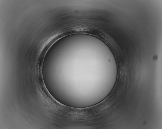 X0000116880727200912291241
