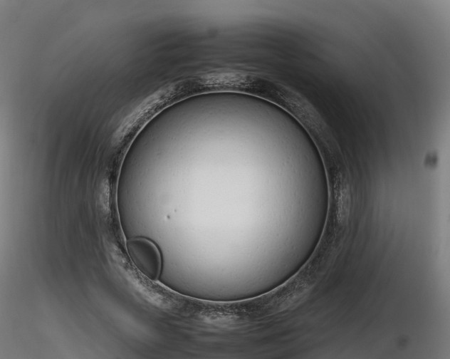 X0000116880729200912291241