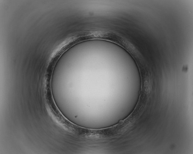 X0000116880730200912291241